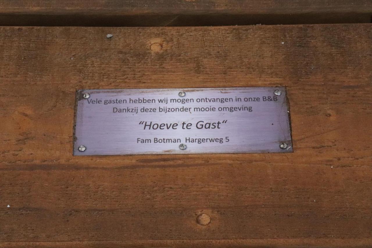 חרוט Hoeve Te Gast - Vakantieboerderij מראה חיצוני תמונה